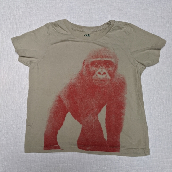 Salvor Other - Salvor baby gorilla t-shirt, size 4